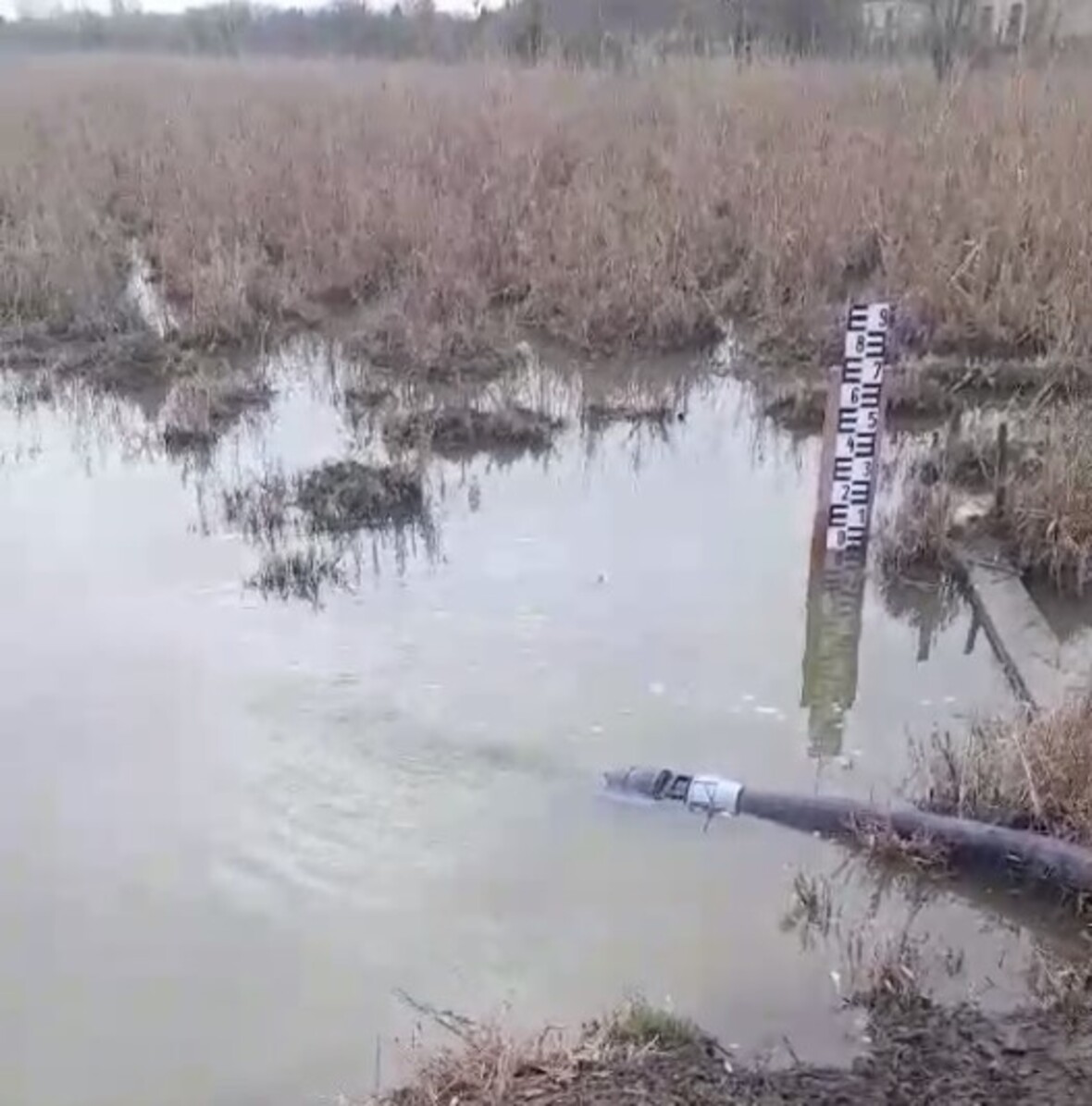 Ős Dong-ér szivornya 02.05