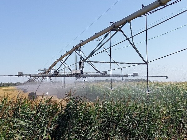 Lineár öntözőberendezés.jpg