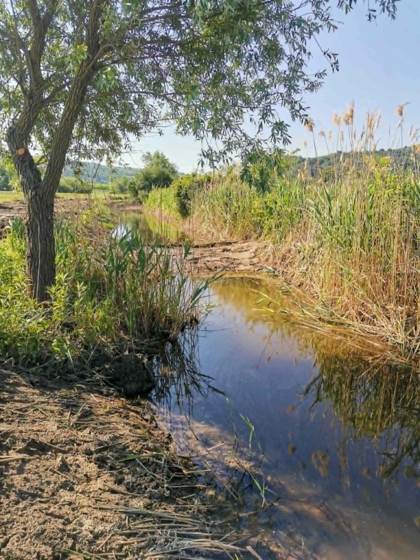 Fotó_11.
