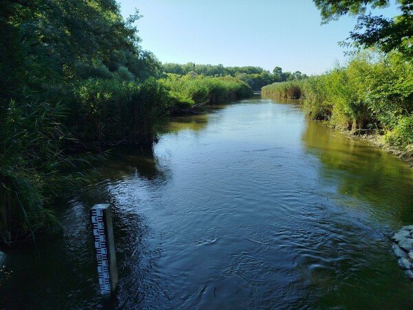 Fotó_2.
