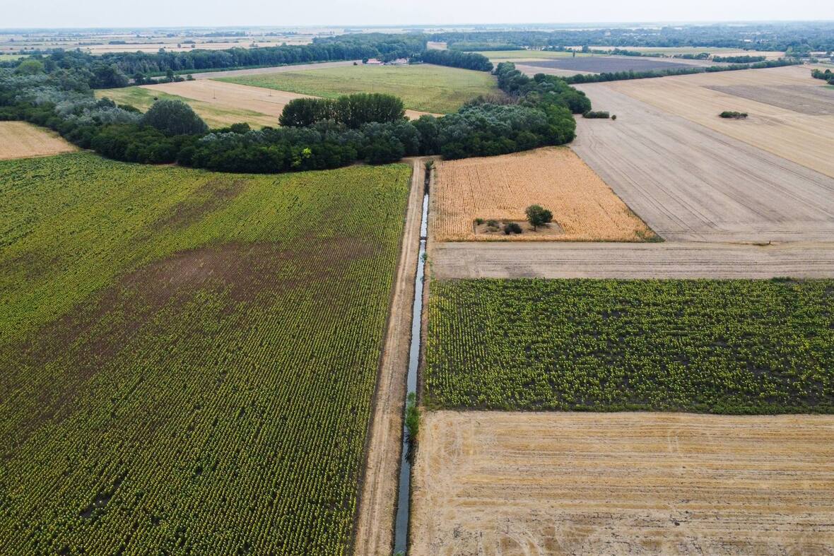 Krisztiazugi-holtág (4).jpg