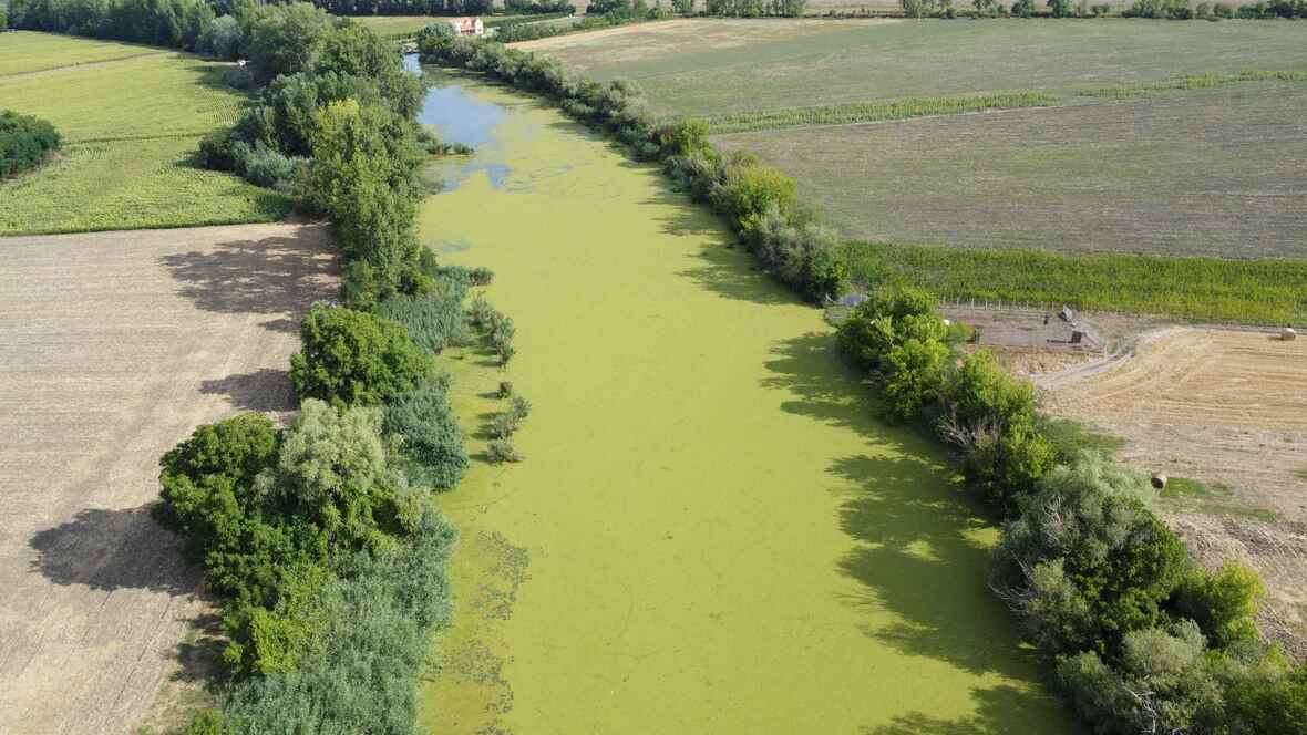 Siratói-holtág vízi rucaöröm (1).JPG