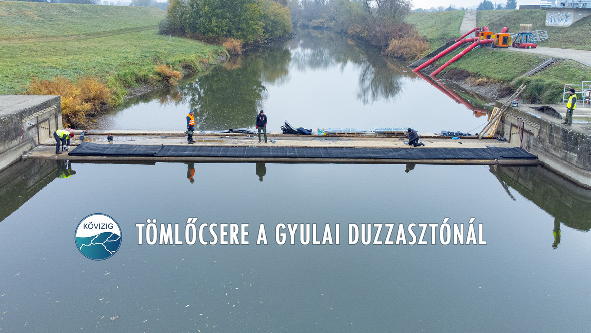 tömlőcsere avatar.jpg