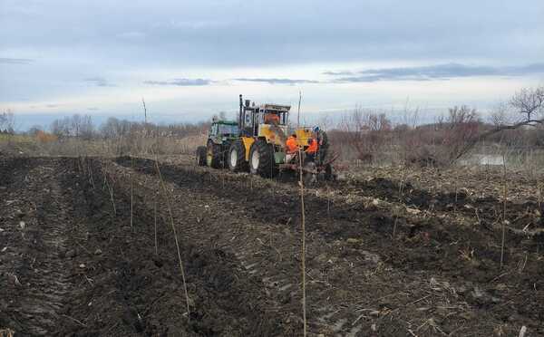 Békési Kishajó Kikötő melletti közel 5 hektárnyi erdőrész felújítása 1.jpg