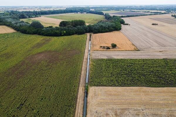 Krisztiazugi-holtág (4).jpg