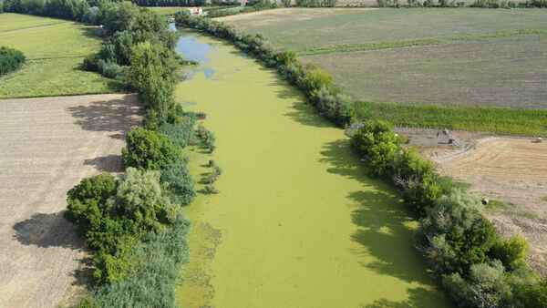 Siratói-holtág vízi rucaöröm (1).JPG