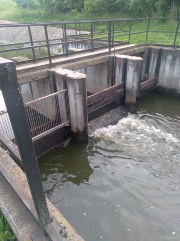 Tolnai_holtág_vízpótlás_kutyatanya