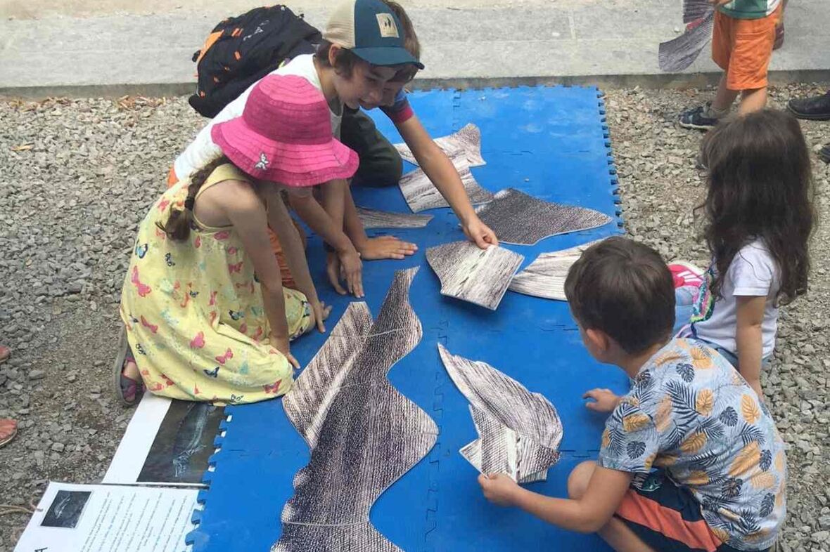 Kolozsváron járt a Duna Múzeum csapata 2